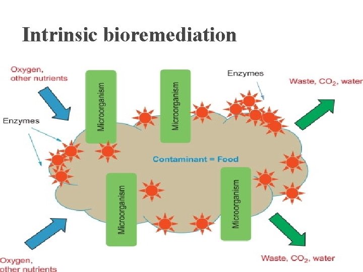 Intrinsic bioremediation 