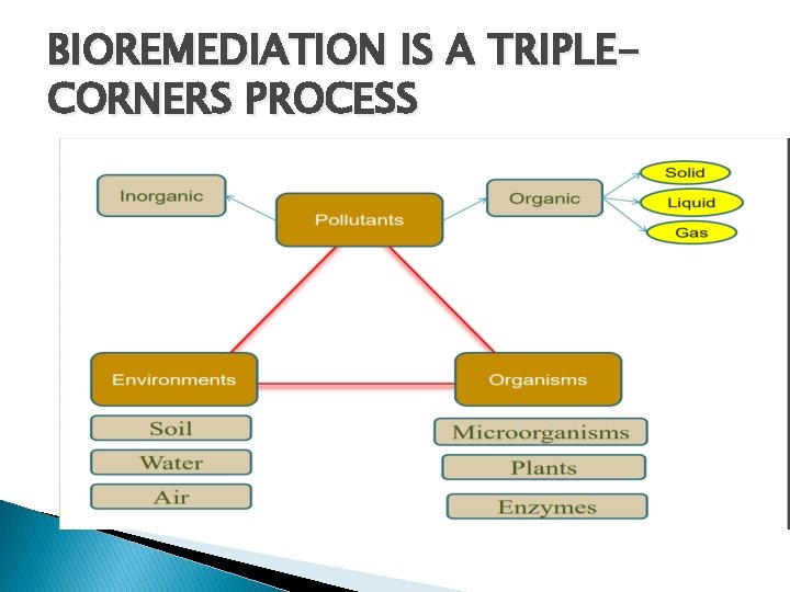 BIOREMEDIATION IS A TRIPLECORNERS PROCESS 