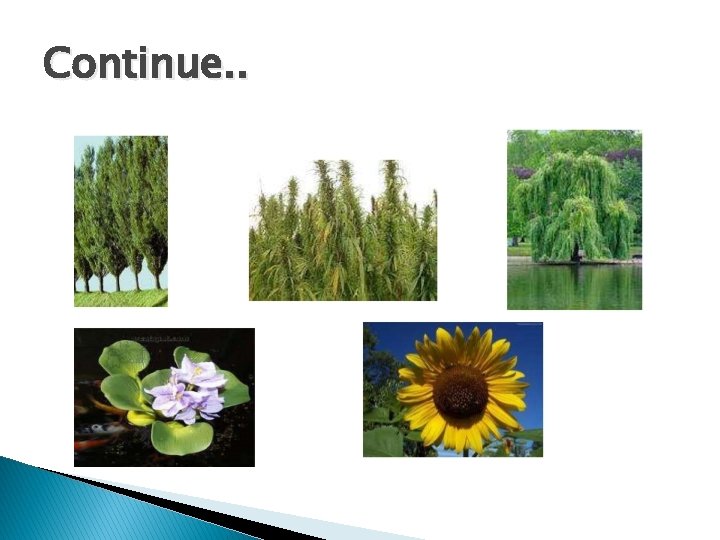 Continue. . 