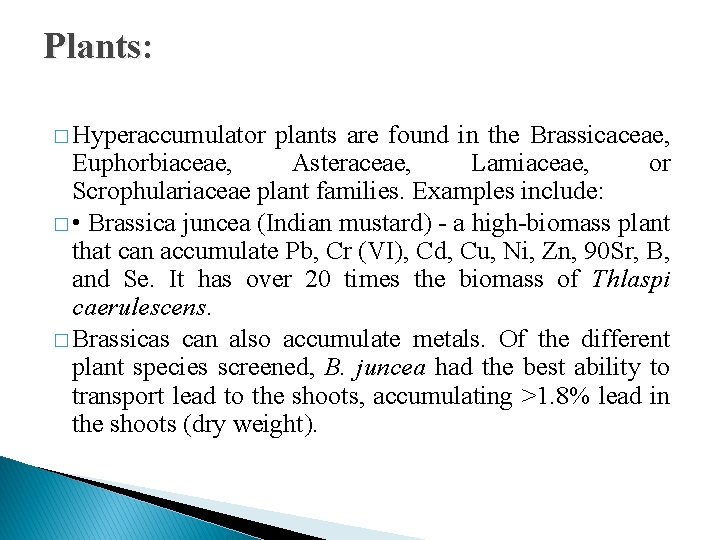 Plants: � Hyperaccumulator plants are found in the Brassicaceae, Euphorbiaceae, Asteraceae, Lamiaceae, or Scrophulariaceae
