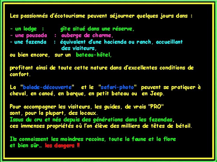 Les passionnés d’écotourisme peuvent séjourner quelques jours dans : - un lodge : -