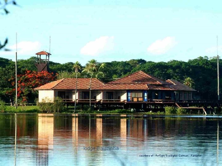 lodge Baiazinha courtesy of : Refúgio Ecológico Caiman - Pantanal 