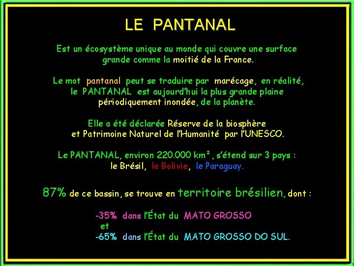 LE PANTANAL Est un écosystème unique au monde qui couvre une surface grande comme