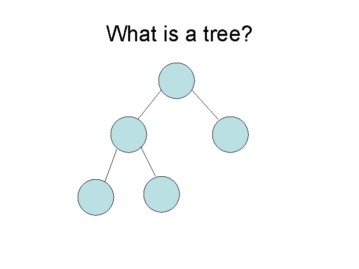 What is a tree? 