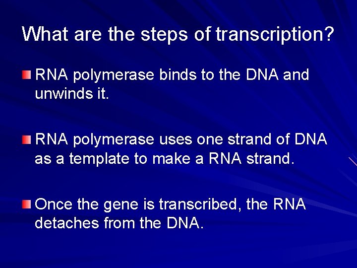 What are the steps of transcription? RNA polymerase binds to the DNA and unwinds