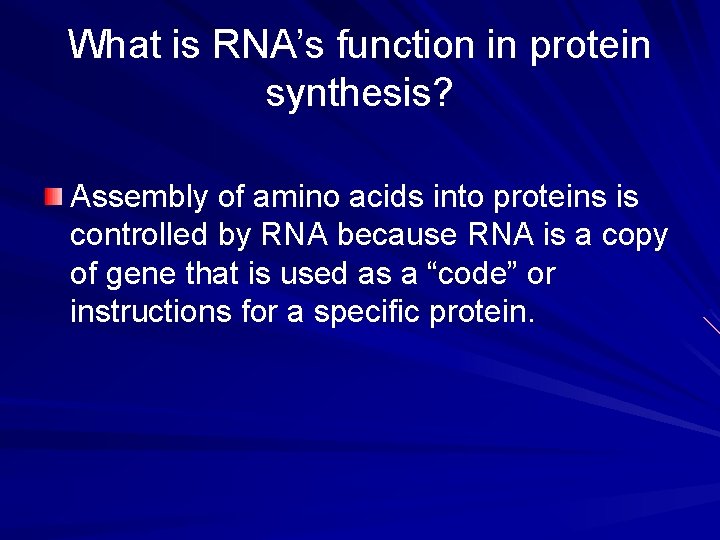 What is RNA’s function in protein synthesis? Assembly of amino acids into proteins is