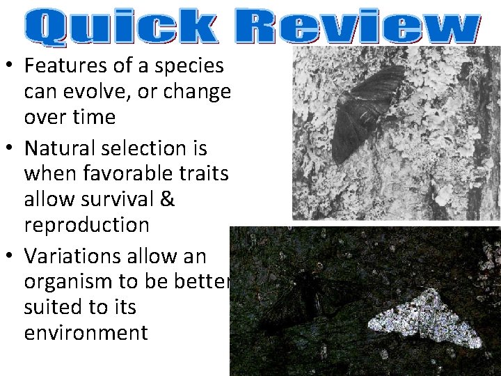  • Features of a species can evolve, or change over time • Natural