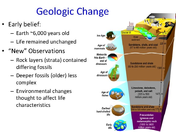 Geologic Change • Early belief: – Earth ~6, 000 years old – Life remained