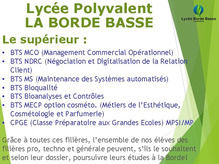 Lycée Polyvalent LA BORDE BASSE Le supérieur : • BTS MCO (Management Commercial Opérationnel)