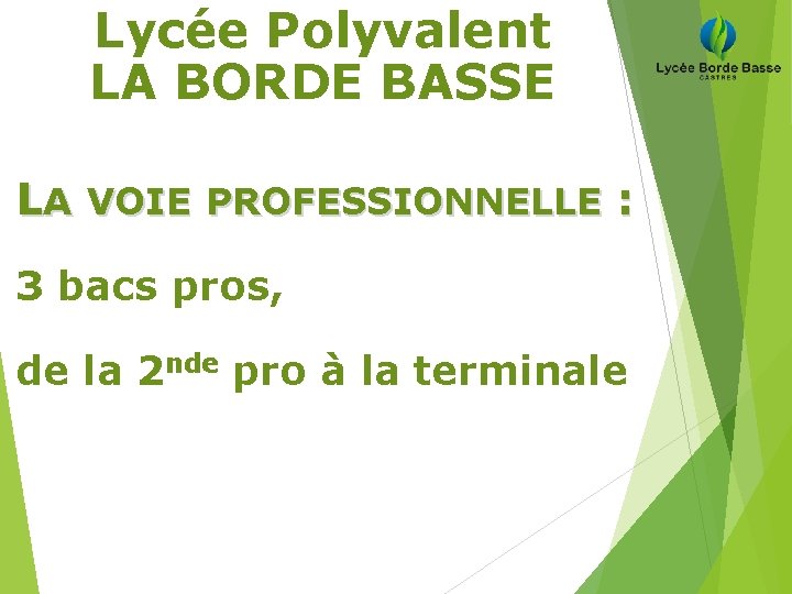Lycée Polyvalent LA BORDE BASSE LA VOIE PROFESSIONNELLE : 3 bacs pros, de la