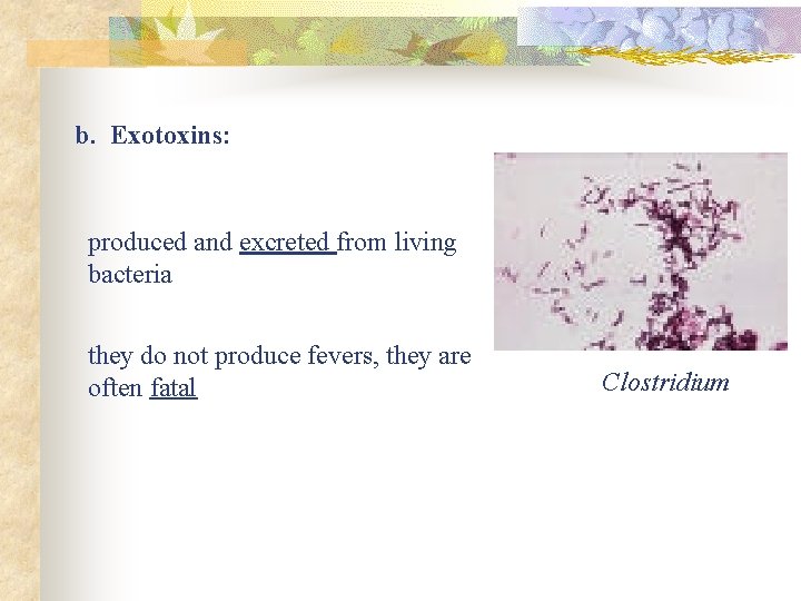 b. Exotoxins: produced and excreted from living bacteria they do not produce fevers, they