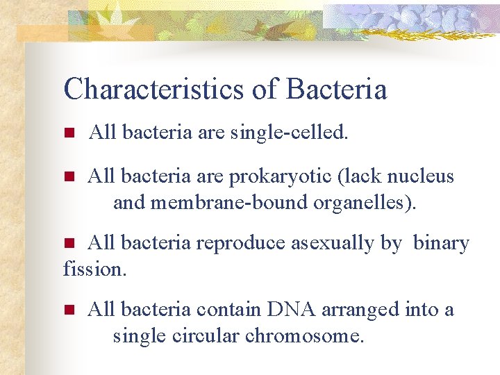 Characteristics of Bacteria n All bacteria are single-celled. n All bacteria are prokaryotic (lack