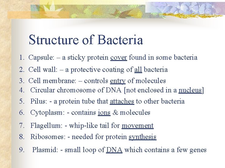 Structure of Bacteria 1. Capsule: – a sticky protein cover found in some bacteria