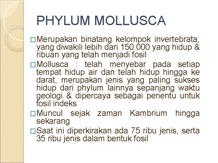 PHYLUM MOLLUSCA �Merupakan binatang kelompok invertebrata, yang diwakili lebih dari 150. 000 yang hidup