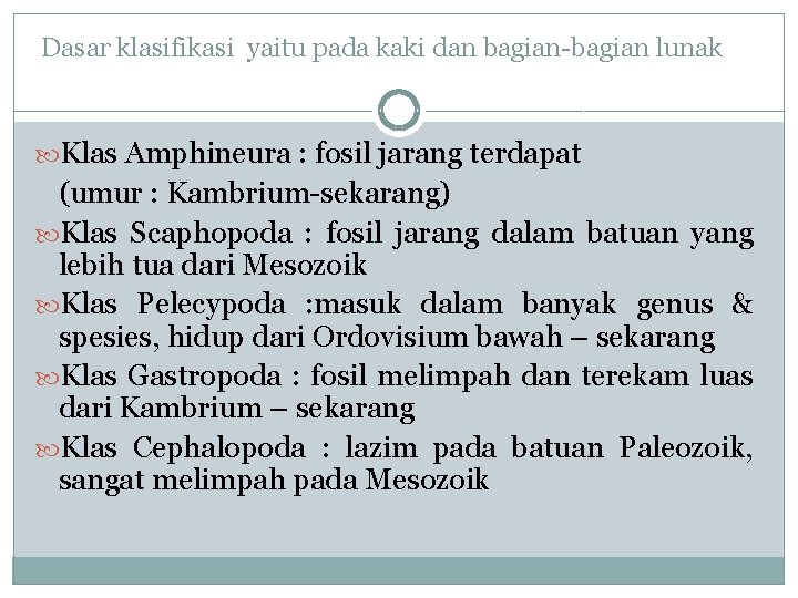 Dasar klasifikasi yaitu pada kaki dan bagian-bagian lunak Klas Amphineura : fosil jarang terdapat