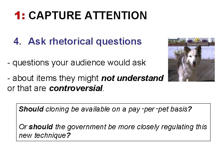 1: CAPTURE ATTENTION 4. Ask rhetorical questions - questions your audience would ask -