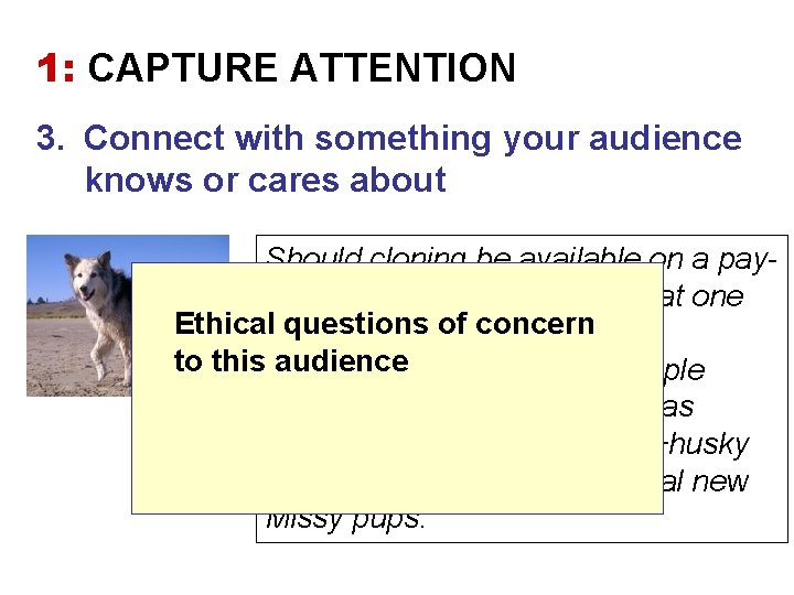 1: CAPTURE ATTENTION 3. Connect with something your audience knows or cares about Should
