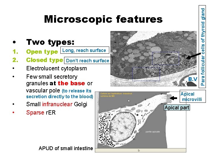  • 1. 2. • • Two types: Open type Long, reach surface Closed