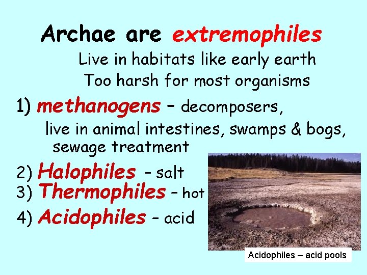 Archae are extremophiles Live in habitats like early earth Too harsh for most organisms