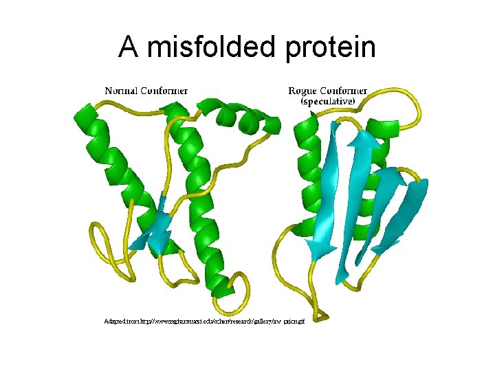 A misfolded protein 