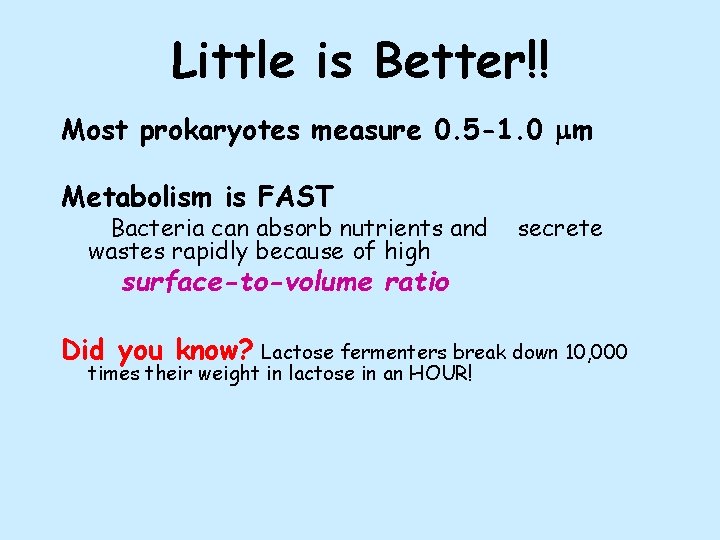 Little is Better!! Most prokaryotes measure 0. 5 -1. 0 mm Metabolism is FAST