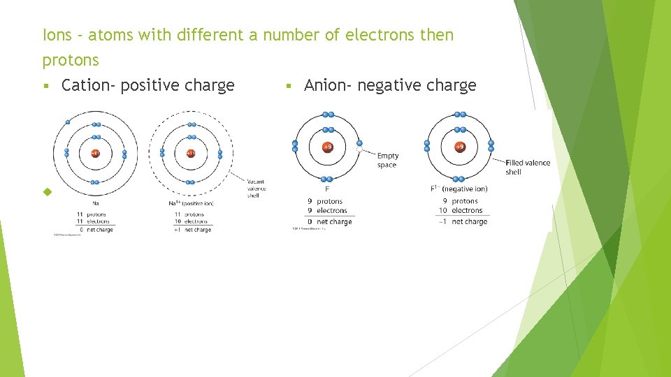 Ions - atoms with different a number of electrons then protons § Cation- positive