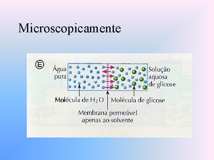 Microscopicamente 