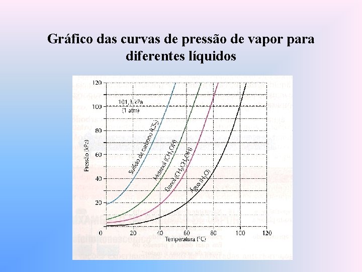 Gráfico das curvas de pressão de vapor para diferentes líquidos 