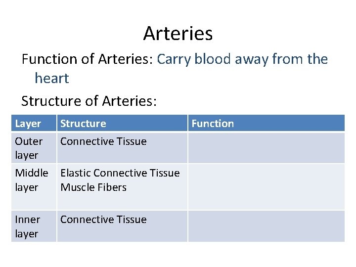 Arteries Function of Arteries: Carry blood away from the heart Structure of Arteries: Layer