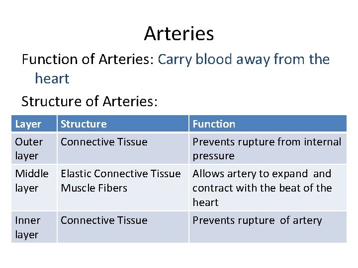 Arteries Function of Arteries: Carry blood away from the heart Structure of Arteries: Layer