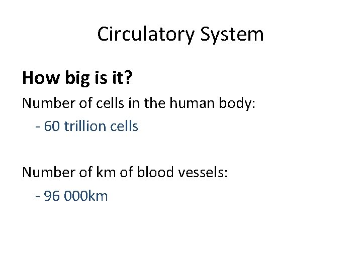 Circulatory System How big is it? Number of cells in the human body: -