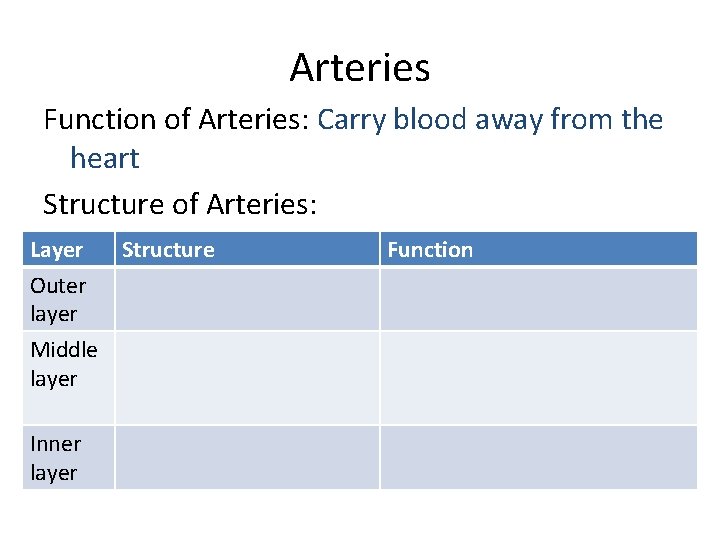 Arteries Function of Arteries: Carry blood away from the heart Structure of Arteries: Layer