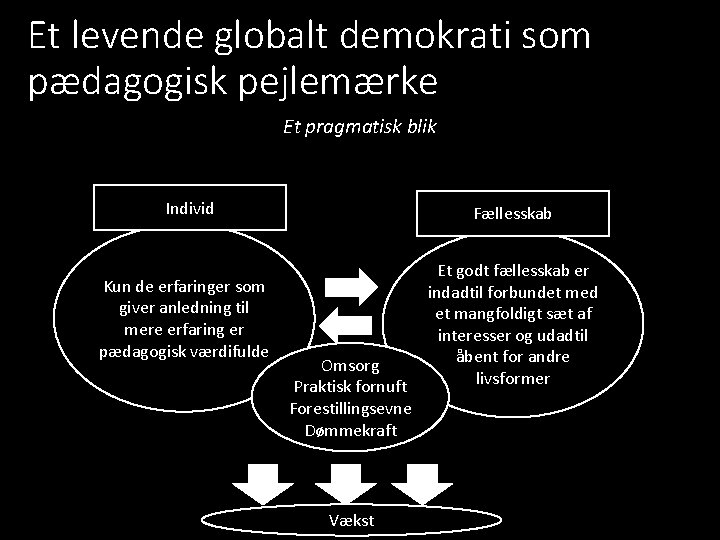 Et levende globalt demokrati som pædagogisk pejlemærke Et pragmatisk blik Individ Kun de erfaringer