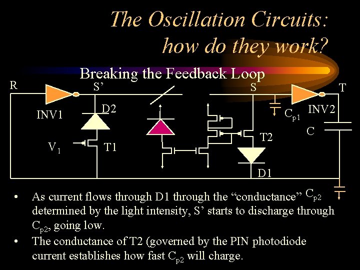The Oscillation Circuits: how do they work? Breaking the Feedback Loop R S’ INV