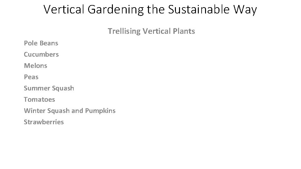 Vertical Gardening the Sustainable Way Trellising Vertical Plants Pole Beans Cucumbers Melons Peas Summer