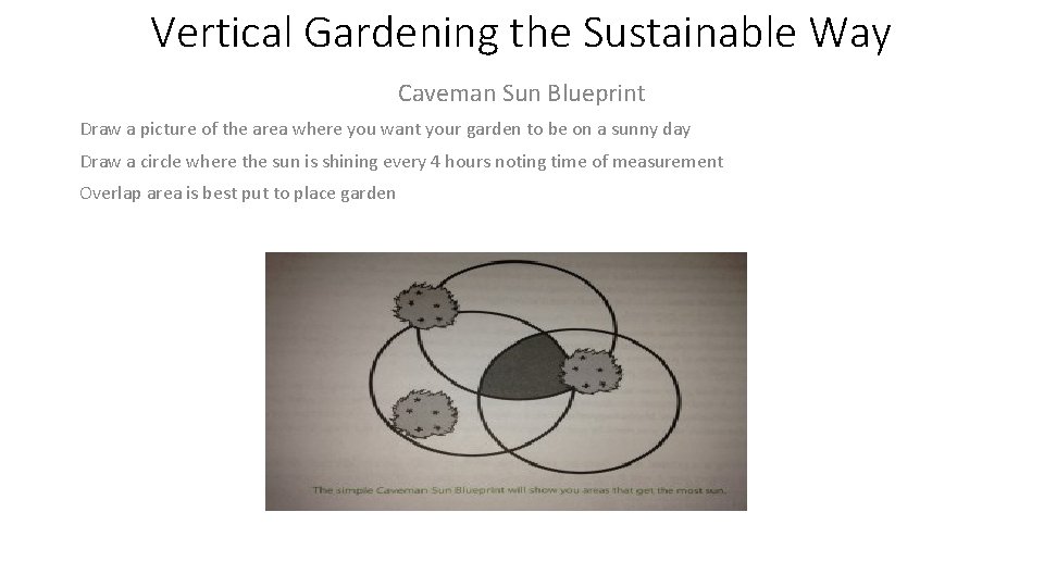 Vertical Gardening the Sustainable Way Caveman Sun Blueprint Draw a picture of the area