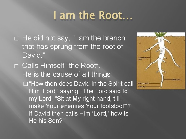 I am the Root… � � He did not say, “I am the branch