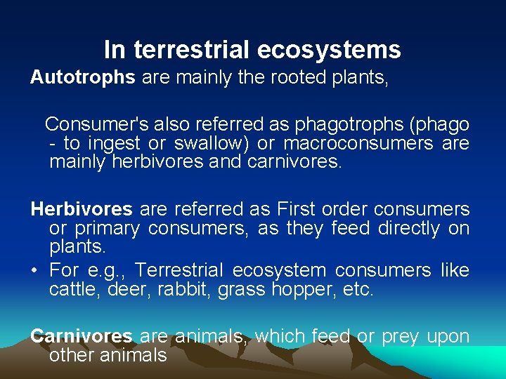 In terrestrial ecosystems Autotrophs are mainly the rooted plants, Consumer's also referred as phagotrophs
