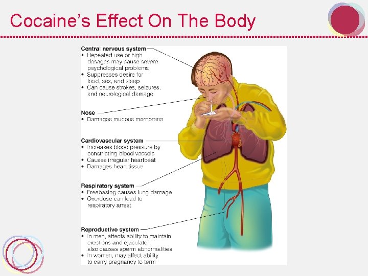 Cocaine’s Effect On The Body 