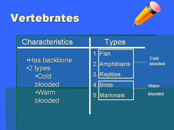 Vertebrates Characteristics • Has backbone • 2 types • Cold blooded • Warm blooded
