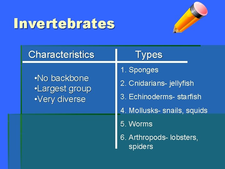 Invertebrates Characteristics • No backbone • Largest group • Very diverse Types 1. Sponges