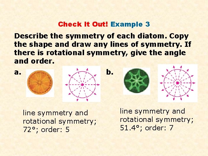 Check It Out! Example 3 Describe the symmetry of each diatom. Copy the shape