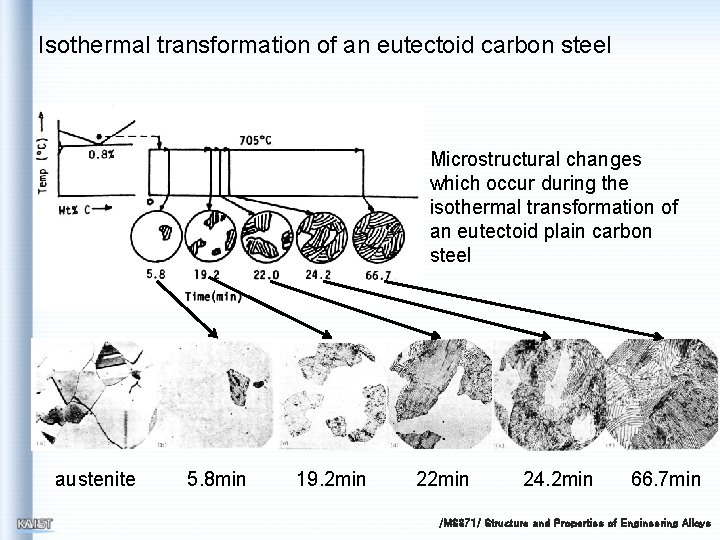 Isothermal transformation of an eutectoid carbon steel Microstructural changes which occur during the isothermal
