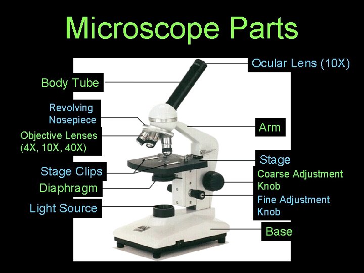 Microscope Parts Ocular Lens (10 X) Body Tube Revolving Nosepiece Objective Lenses (4 X,