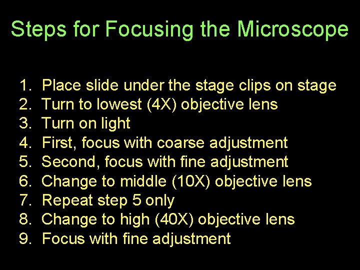 Steps for Focusing the Microscope 1. 2. 3. 4. 5. 6. 7. 8. 9.