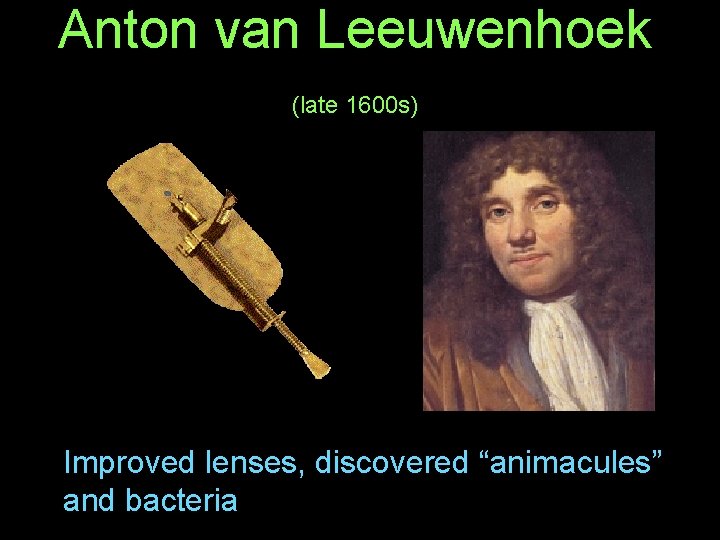 Anton van Leeuwenhoek (late 1600 s) Improved lenses, discovered “animacules” and bacteria 