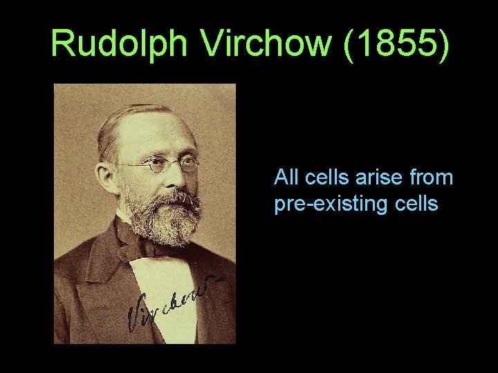 Rudolph Virchow (1855) All cells arise from pre-existing cells 