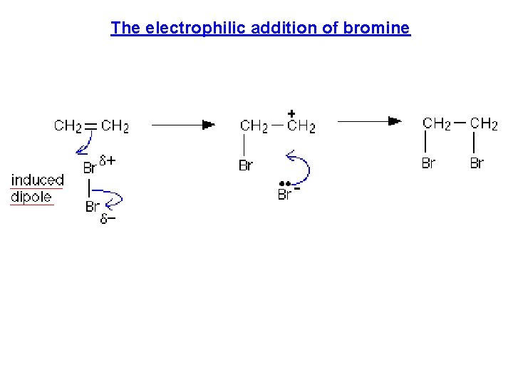 The electrophilic addition of bromine 