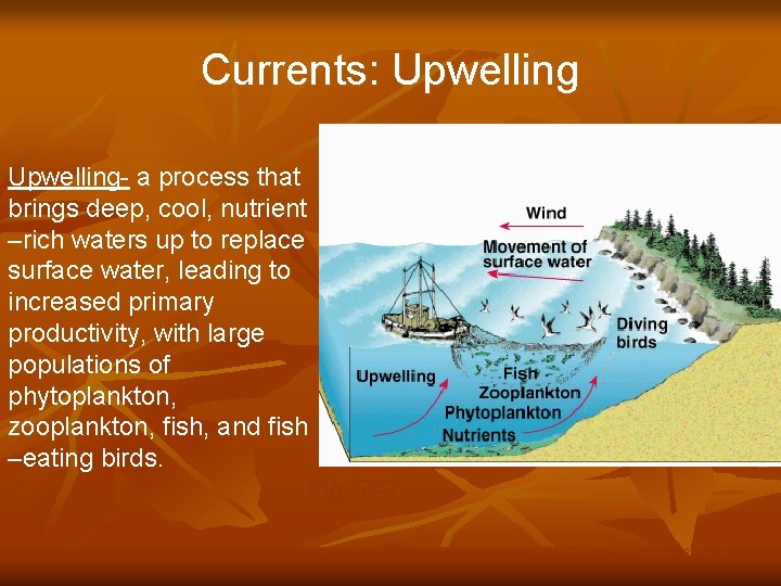 Currents: Upwelling- a process that brings deep, cool, nutrient –rich waters up to replace