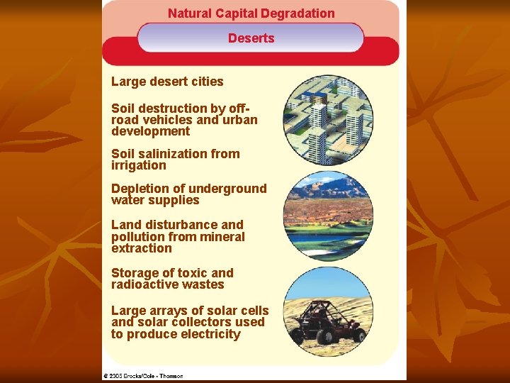 Natural Capital Degradation Deserts Large desert cities Soil destruction by offroad vehicles and urban